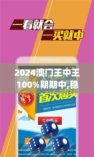 2025澳门和香港王中王100%期期中,精选解释解析