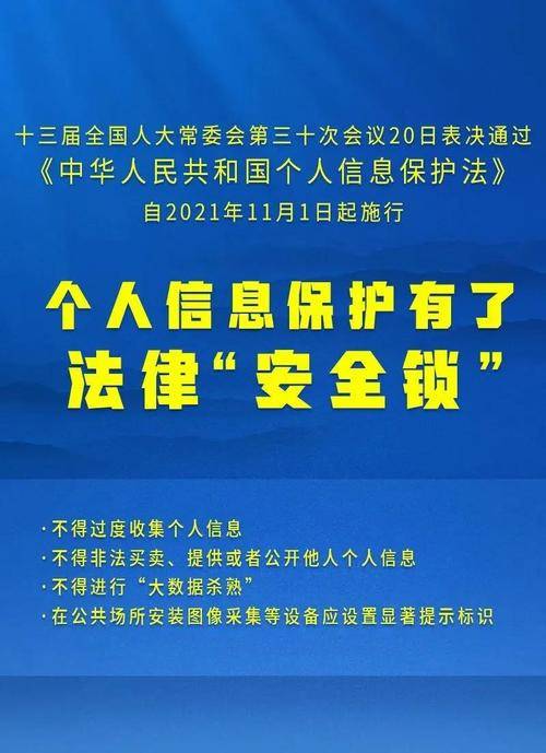 2025全年正版资料全年免费资料,精选解析、解释与落实