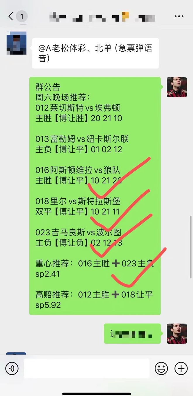 2025新澳门正版精准资料大全合法吗?,精选解析与未来展望